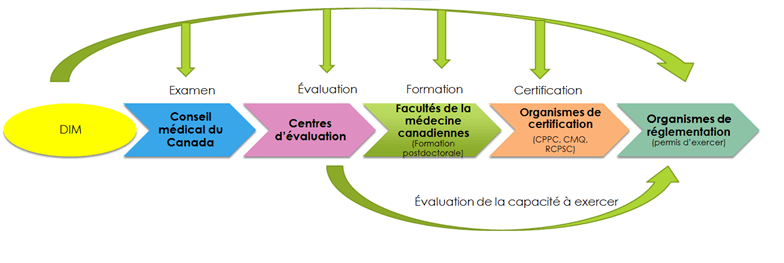 Diplômés internationaux en médecine